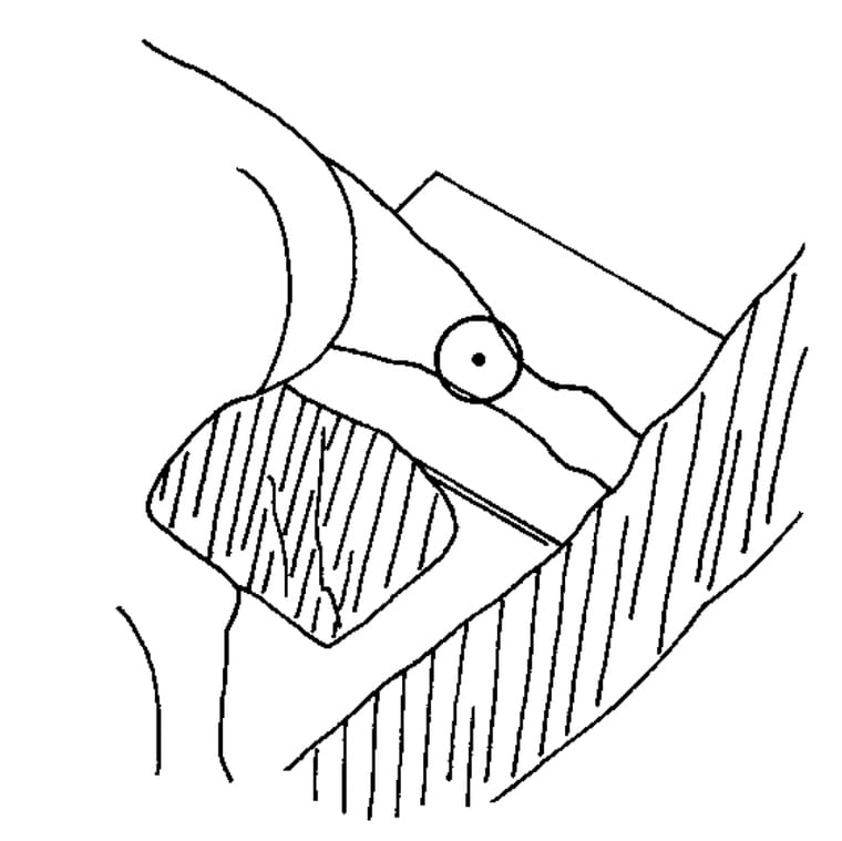 Positioning sketch for an orthogonal TPLO planning radiograph with calibration marker